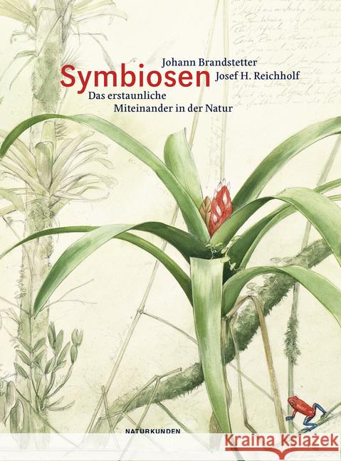 Symbiosen : Das erstaunliche Miteinander in der Natur Brandstetter, Johann; Reichholf, Josef H. 9783957573667 Matthes & Seitz Berlin