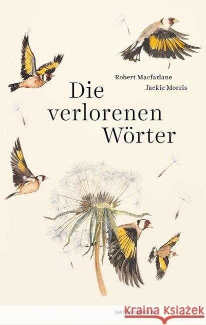 Die verlorenen Wörter Macfarlane, Robert 9783957576224 Matthes & Seitz Berlin