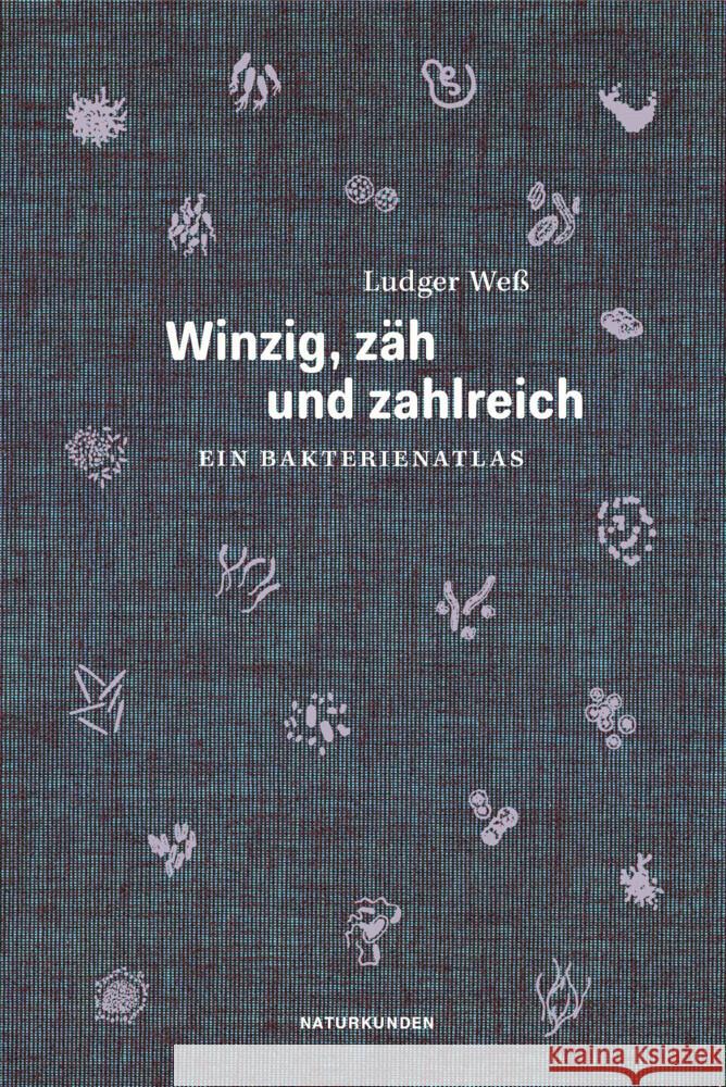 Winzig, zäh und zahlreich : Ein Bakterienatlas Weß, Ludger 9783957578426 Matthes & Seitz Berlin