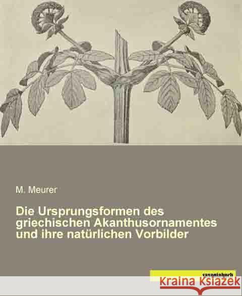 Die Ursprungsformen des griechischen Akanthusornamentes und ihre natürlichen Vorbilder Meurer, M. 9783957700834 Saxoniabuch.de