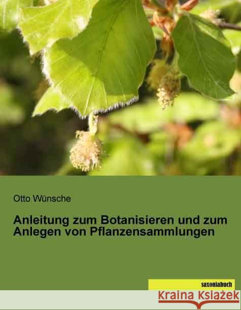 Anleitung zum Botanisieren und zum Anlegen von Pflanzensammlungen Wünsche, Otto 9783957701275 Saxoniabuch.de