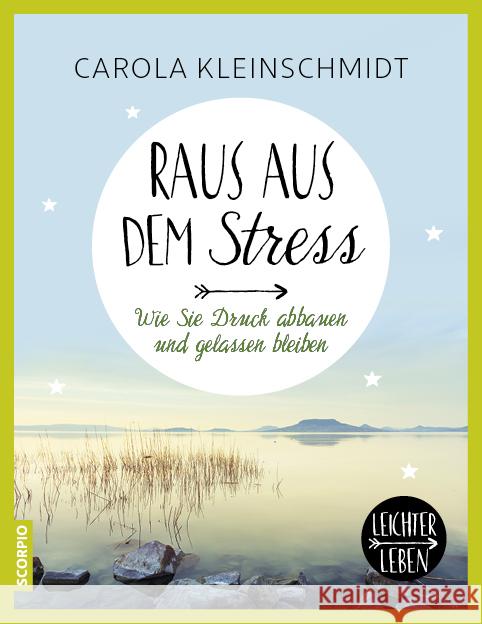 Raus aus dem Stress! : Wie Sie Druck abbauen und gelassen bleiben Kleinschmidt, Carola 9783958030756 scorpio