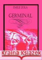 Germinal : 13. Band des Rougon-Macquart-Romanzyklus Zola, Emile 9783958161863