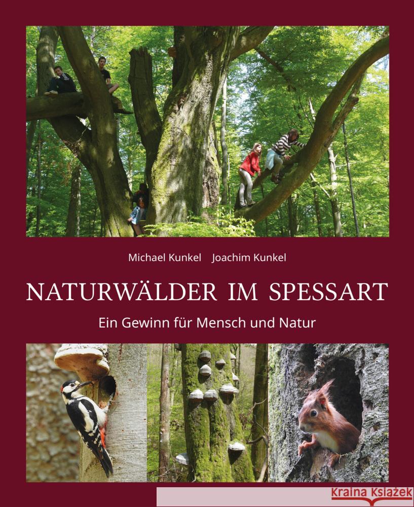 Naturwälder im Spessart Kunkel, Joachim 9783958283558