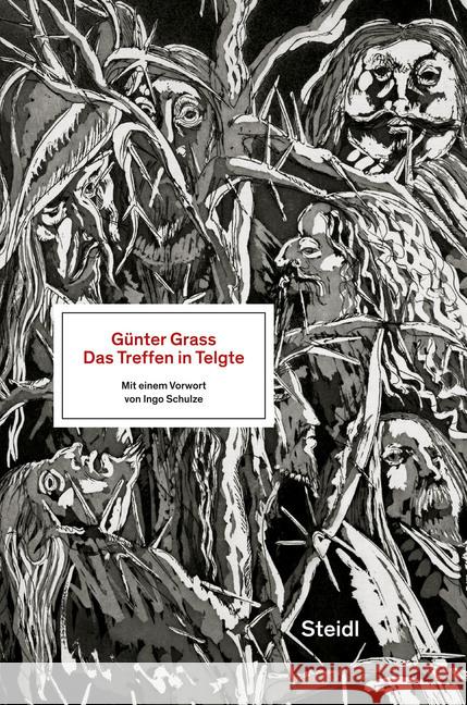 Das Treffen in Telgte : Mit einem Vorwort von Ingo Schulze Grass, Günter 9783958294301