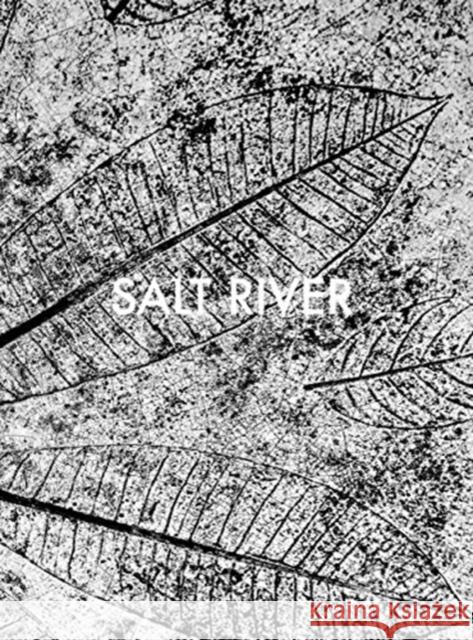 Sebastian Posingis: Salt River Sebastian Posingis 9783958296206 Steidl