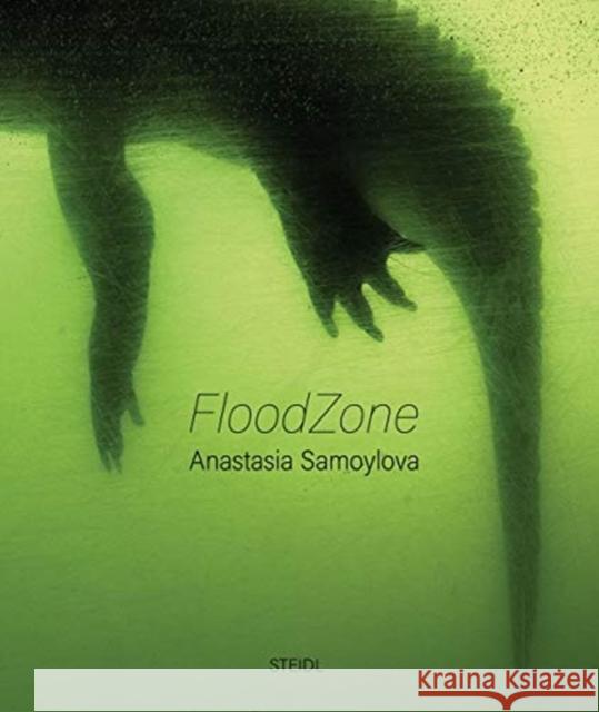 Anastasia Samoylova: Floodzone Samoylova, Anastasia 9783958296336 Steidl Publishers