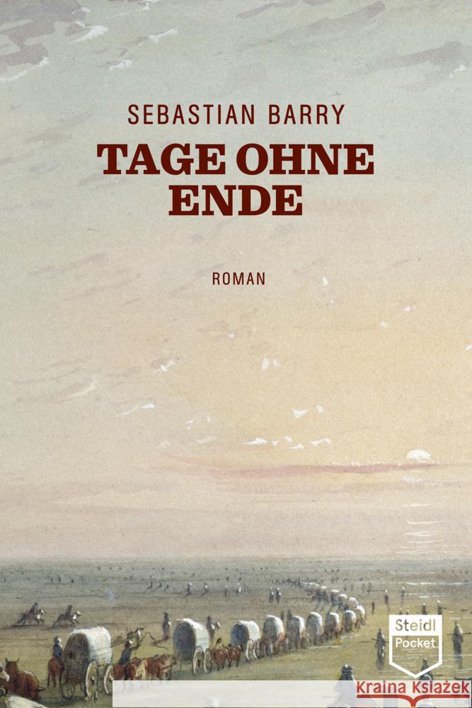 Tage ohne Ende : Roman Barry, Sebastian 9783958297272 Steidl