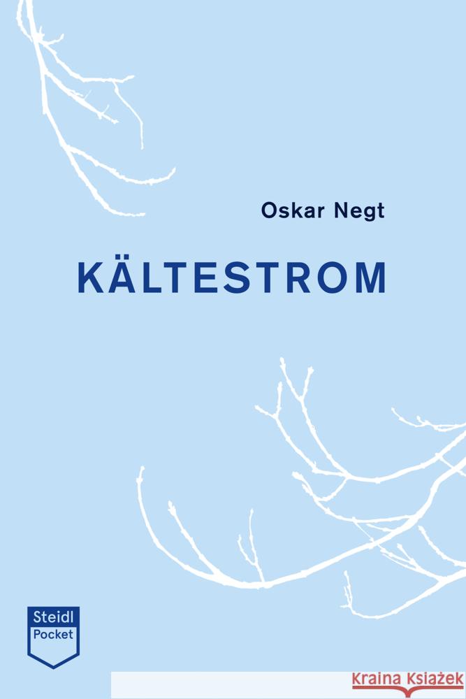 Kältestrom Negt, Oskar 9783958297296