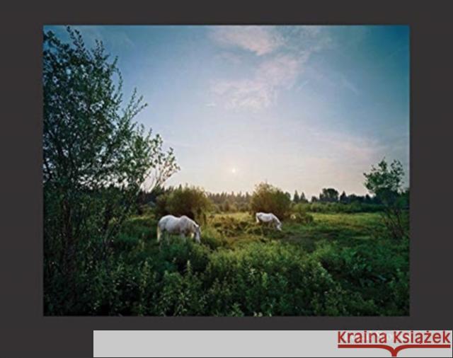 Jerry Spagnoli: Local Stories Jerry Spagnoli 9783958297593 Steidl