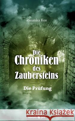 Die Chroniken des Zaubersteins Rinanka Kos 9783958400863 Novum Verlag