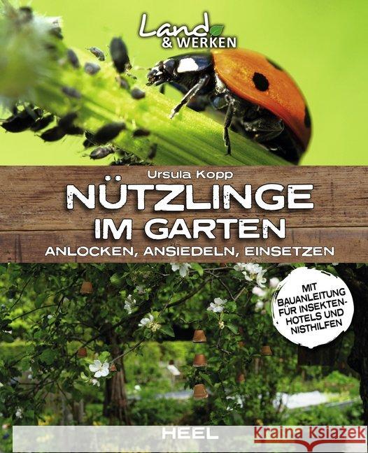 Nützlinge im Garten : Anlocken, Ansiedeln, Einsetzen. Mit Bauanleitung für Insektenhotels und Nisthilfen Kopp, Ursula 9783958438750 Heel Verlag