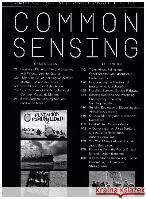 Common Sensing Riccardo Badano 9783959056885 Spector Books