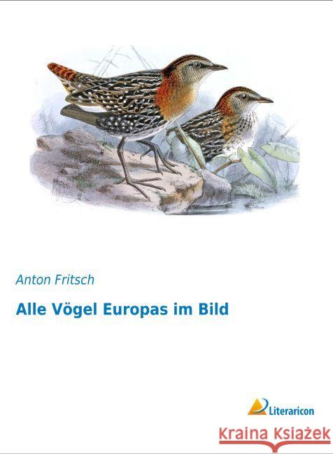 Alle Vögel Europas im Bild Fritsch, Anton 9783959131278 Literaricon