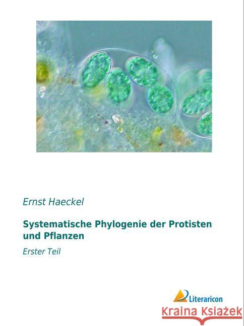 Systematische Phylogenie der Protisten und Pflanzen : Erster Teil Haeckel, Ernst 9783959135016 Literaricon