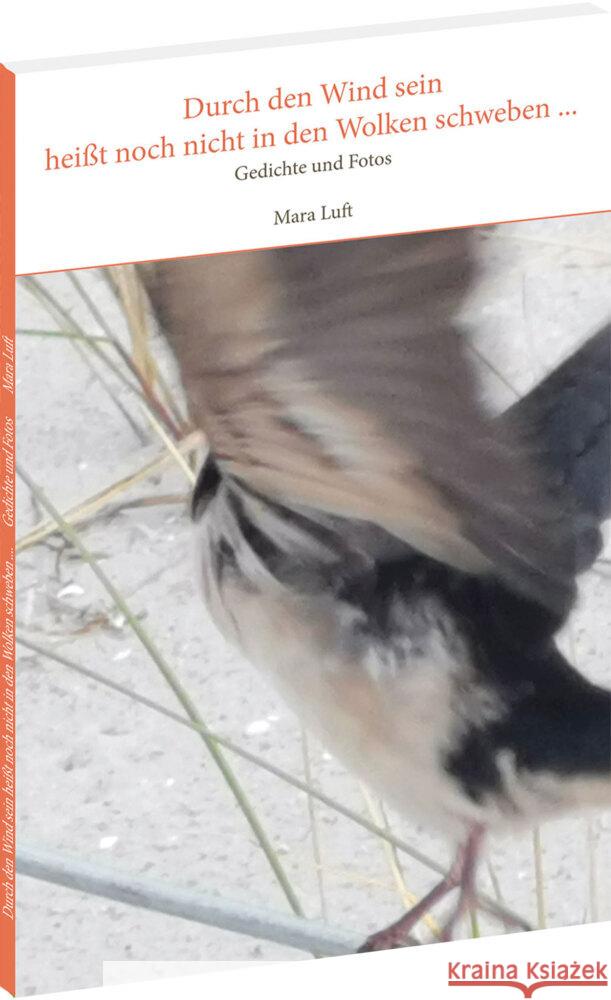 Durch den Wind sein heißt noch nicht in den Wolken schweben ... Luft, Mara 9783959667890
