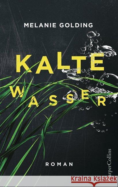 Kalte Wasser : Roman Golding, Melanie 9783959672962