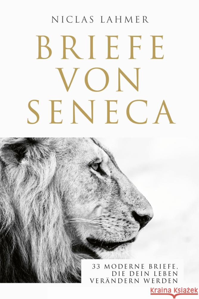 Briefe von Seneca Lahmer, Niclas 9783959727129 FinanzBuch Verlag