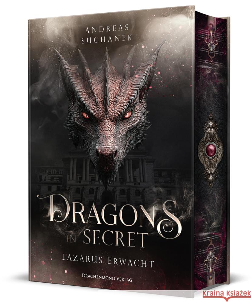 Dragons in Secret - Lazarus erwacht Suchanek, Andreas 9783959917308