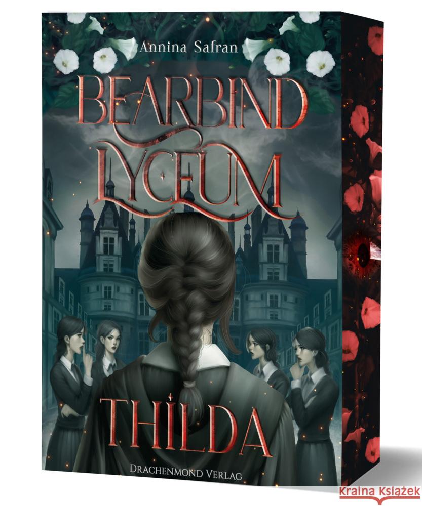 Bearbind Lyceum - Thilda Safran, Annina 9783959919845