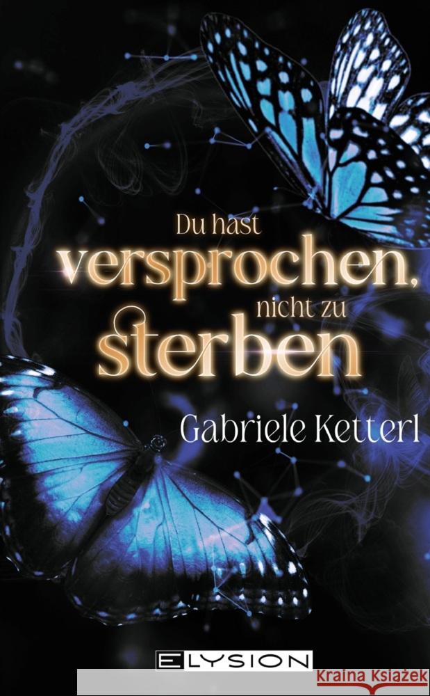 Du hast versprochen nicht zu sterben Ketterl, Gabriele 9783960002871