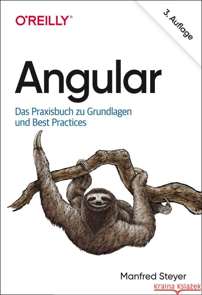 Angular Steyer, Manfred 9783960091660 dpunkt