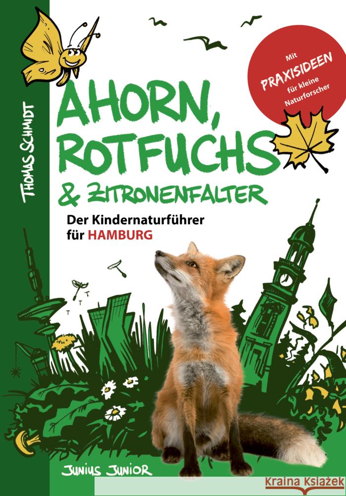 Ahorn, Rotfuchs & Zitronenfalter Schmidt, Thomas 9783960605362 Junius Verlag