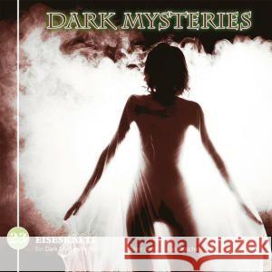 Dark Mysteries - Eiseskälte, 1 Audio-CD Winter, Markus 9783960661412