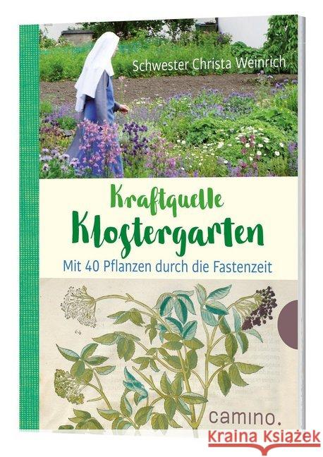 Kraftquelle Klostergarten : Mit 40 Pflanzen durch die Fastenzeit Weinrich, Christa 9783961570669