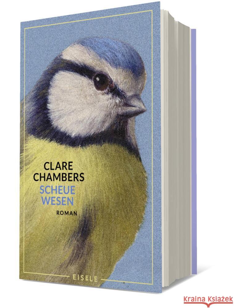 Scheue Wesen Chambers, Clare 9783961611966 Eisele Verlag