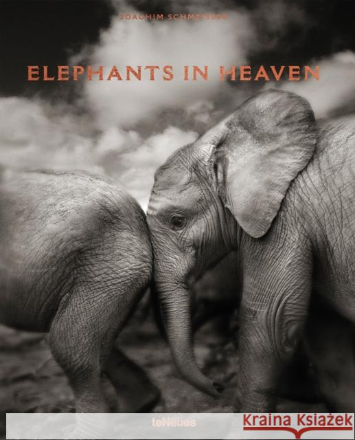 Elephants in Heaven Joachim Schmeisser 9783961710478 teNeues Publishing UK Ltd