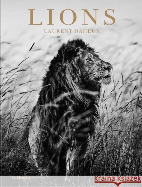 Lions Laurent Baheux 9783961712342 Te Neues Publishing Company