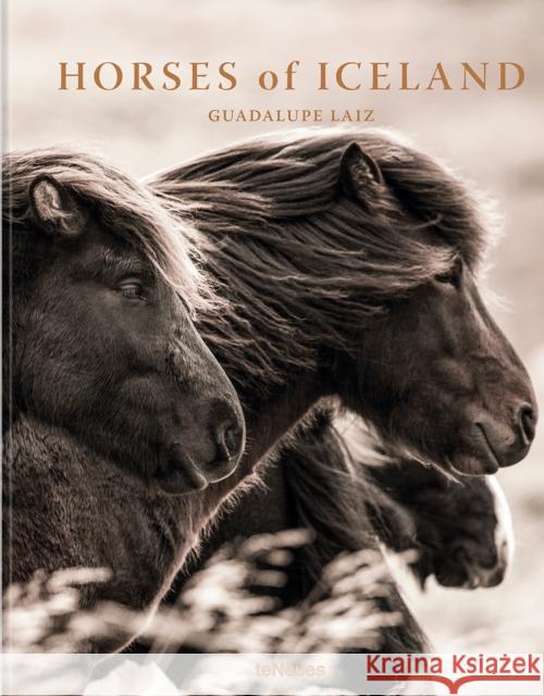 Horses of Iceland Laiz, Guadalupe 9783961716012 Te Neues Publishing Company