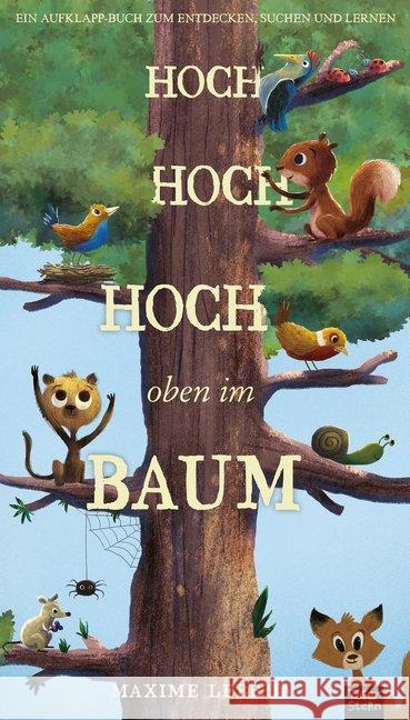 Hoch hoch hoch oben im Baum : Aufklapp-Bilderbuch zum Suchen, Entdecken und Lernen Lebrun, Maxime; Litton, Jonathan 9783961851102 TigerStern