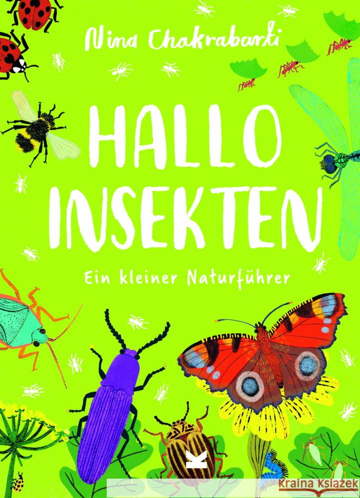 Hallo Insekten Chakrabarti, Nina 9783962442927