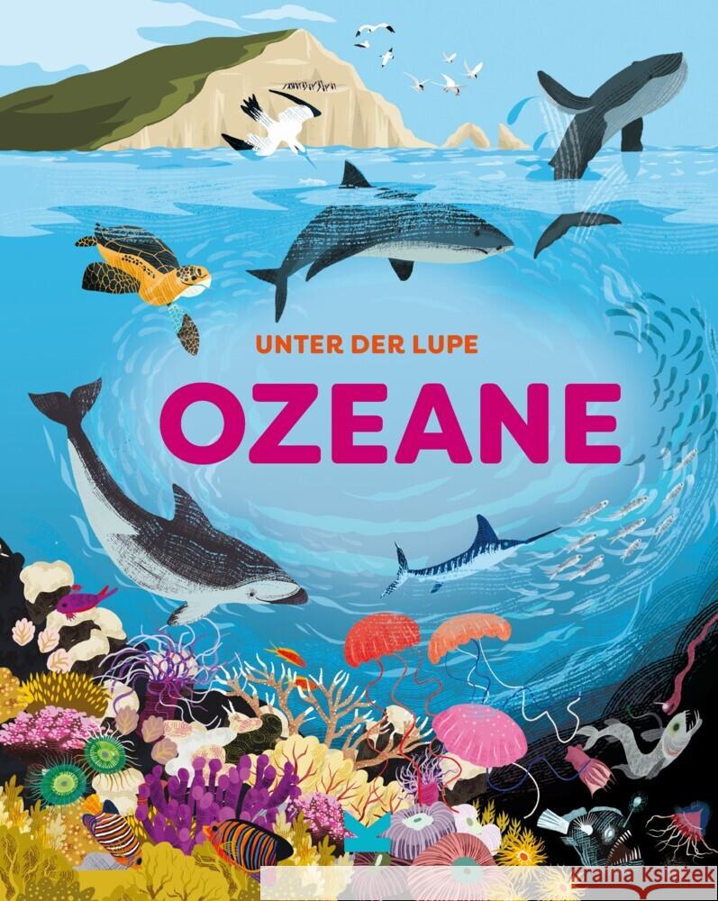 Unter der Lupe: Ozeane Richards, Jon, Bloggs, Josy 9783962443047 Laurence King Verlag GmbH