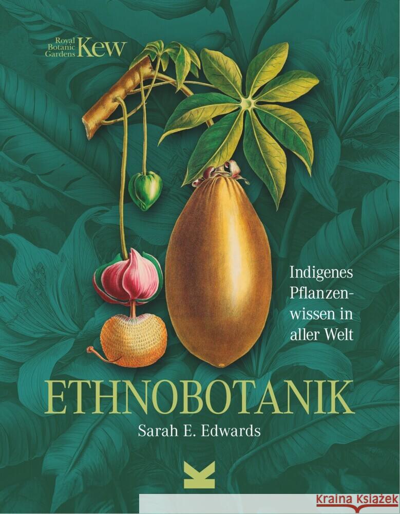 Ethnobotanik Dr. Edwards, Sarah 9783962443511