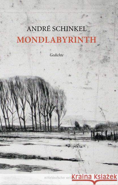 Mondlabyrinth Schinkel, André 9783963116865