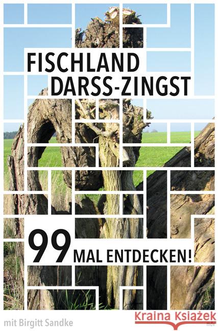 Fischland-Darß-Zingst 99 Mal entdecken! Sandke, Birgitt 9783963117572