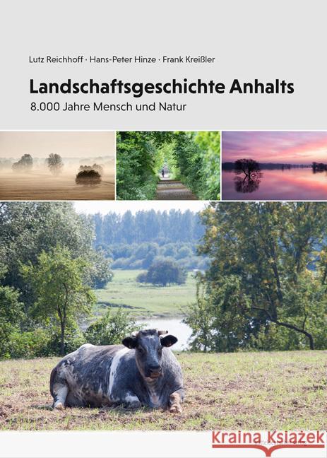 Landschaftsgeschichte Anhalts Reichhoff, Lutz, Hinze, Hans-Peter, Kreißler, Frank 9783963118906