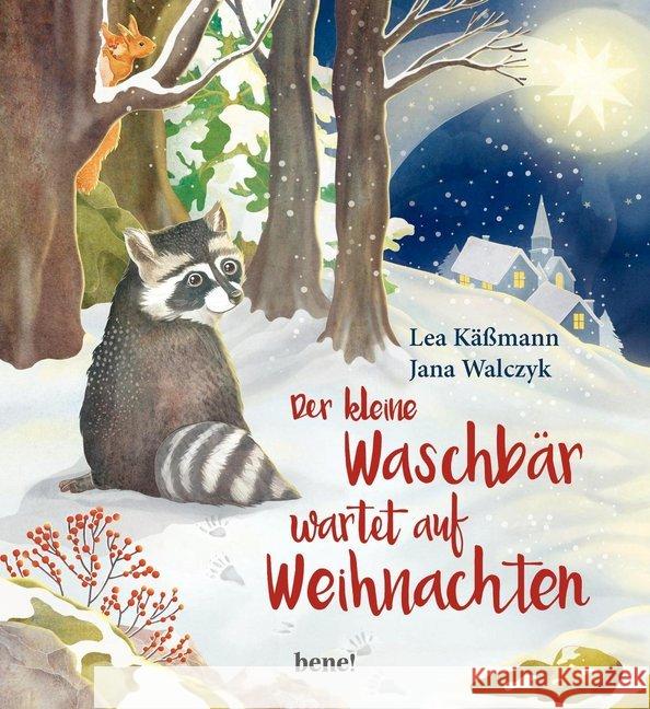 Der kleine Waschbär wartet auf Weihnachten Käßmann, Lea 9783963400926