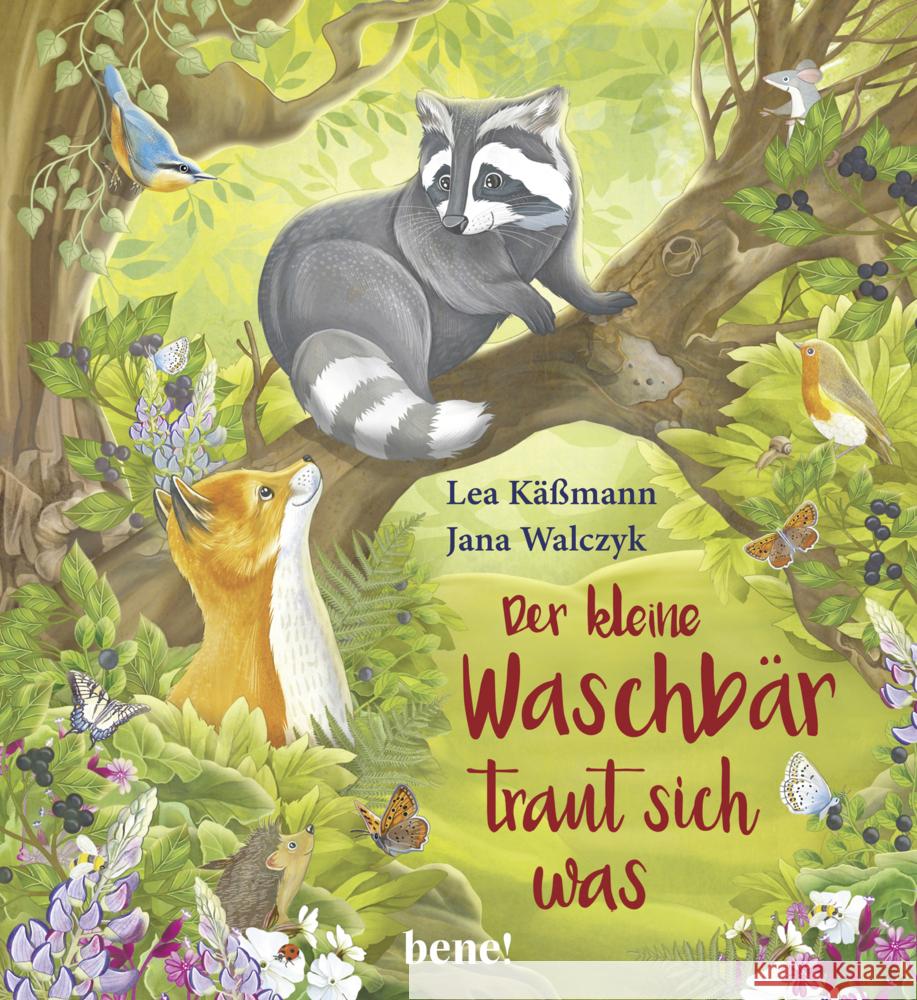 Der kleine Waschbär traut sich was Käßmann, Lea 9783963401558