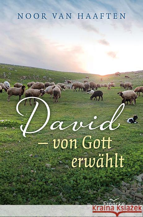 David - von Gott erwählt Haaften, Noor van 9783963622298