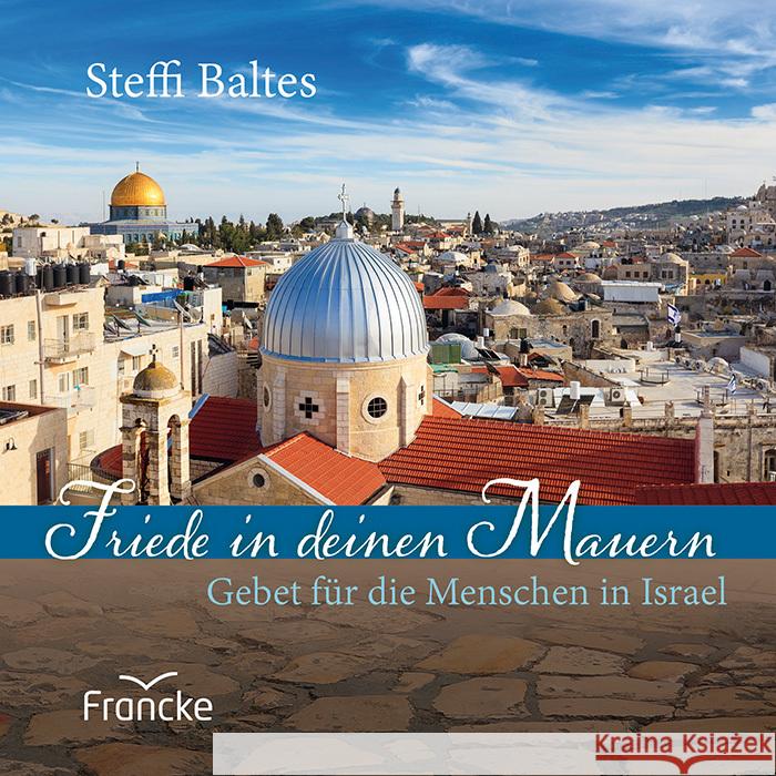 Friede in deinen Mauern Baltes, Steffi 9783963623219