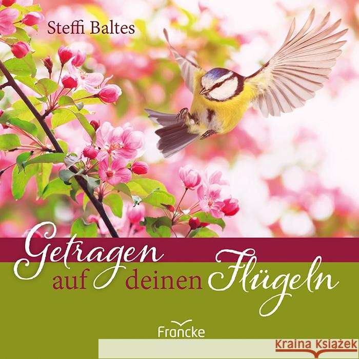 Getragen auf deinen Flügeln Baltes, Steffi 9783963623875