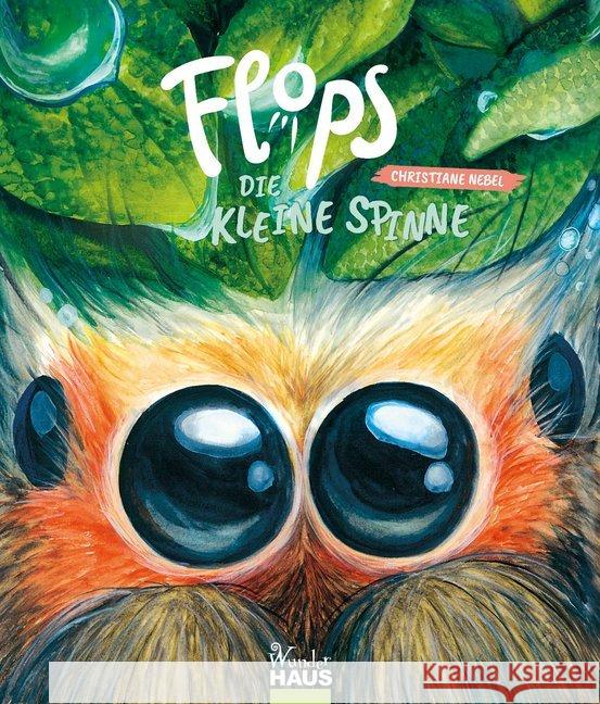 Flops, die kleine Spinne Nebel, Christiane 9783963720543 Wunderhaus Verlag