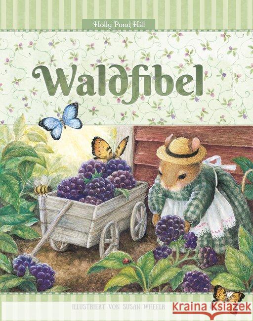 Waldfibel : Eine Hommage an den Wald und die Natur Rohde, Detlef 9783963722332 Wunderhaus Verlag