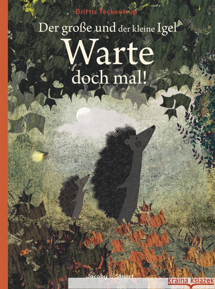 Der große und der kleine Igel / Warte doch mal! Teckentrup, Britta 9783964281135 Jacoby & Stuart