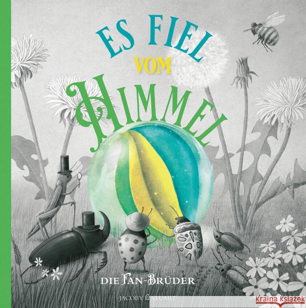 Es fiel vom Himmel Fan, Terry, Fan, Eric 9783964281173 Jacoby & Stuart