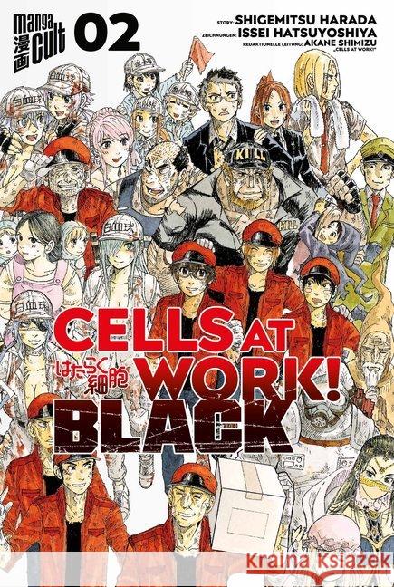 Cells at Work! BLACK. .2 Harada, Shigemitsu; Hatsuyoshiya, Issei; Shimizu, Akane 9783964332431 Amigo Grafik